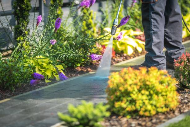 Best Dumpster Area Cleaning  in Suamico, WI
